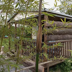 Le cabanon de la grenouille Saint-Martin-des-Lais